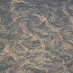 2017-03 New Zealand/Auckland Centenial Park/DSC_0014.JPG